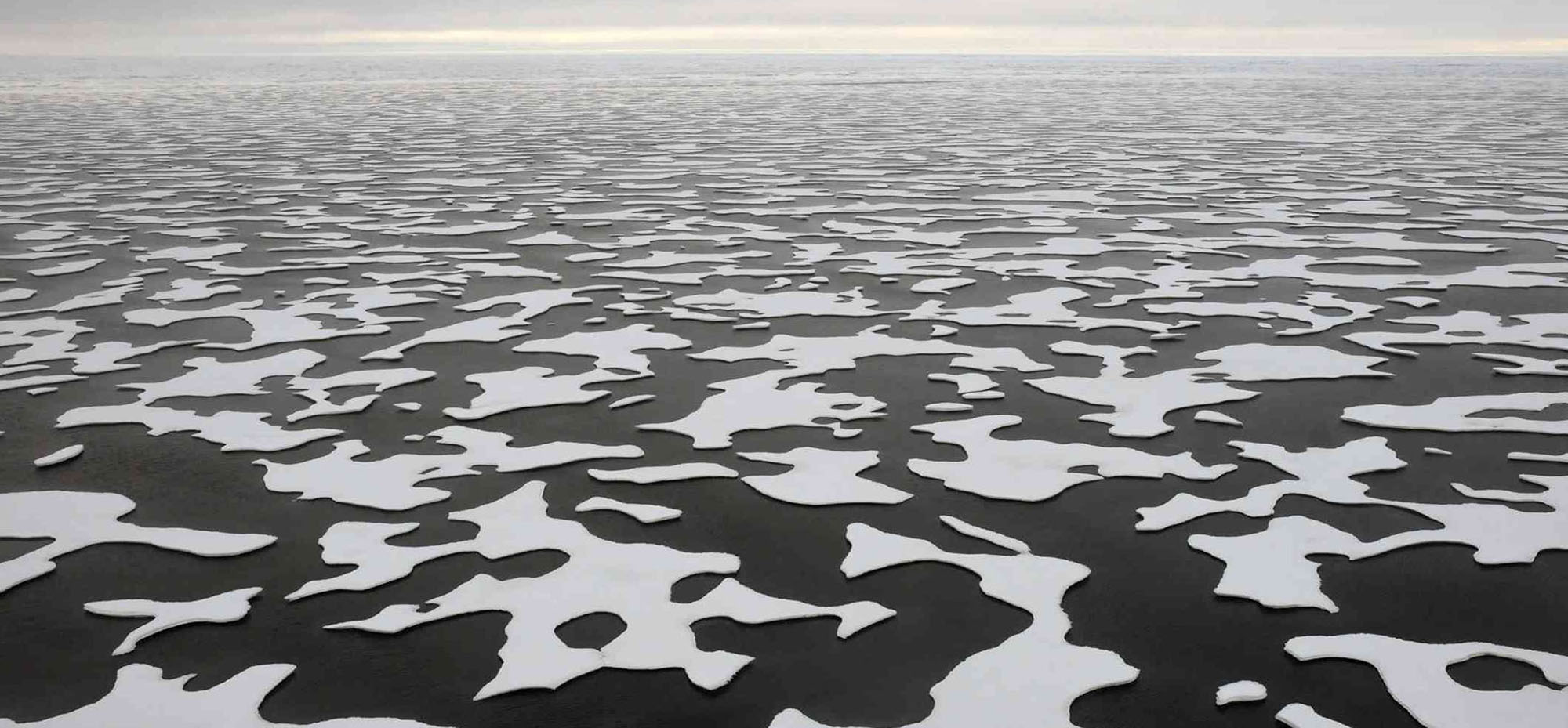 Arctic_melt_ponds_Karen_Frey_2000
