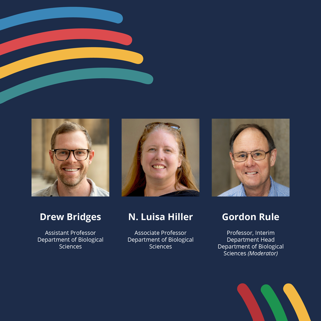 Video Recording of Drew Bridges, Luisa Hiller and Gordon Rule